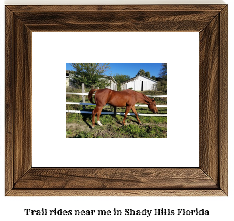 trail rides near me in Shady Hills, Florida